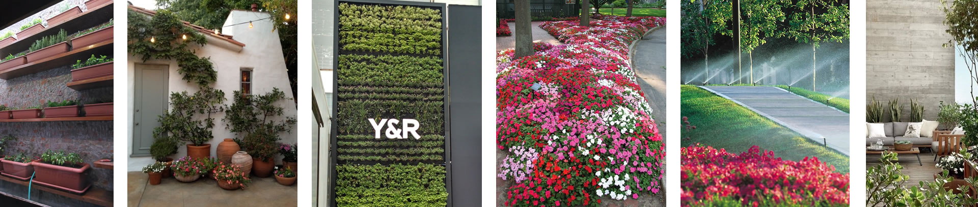 irrigarden lima peru
